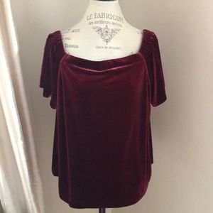 Velvet off the shoulder top